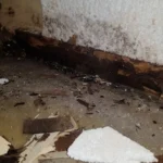 Severe damp damage and rot along motorhome wall base