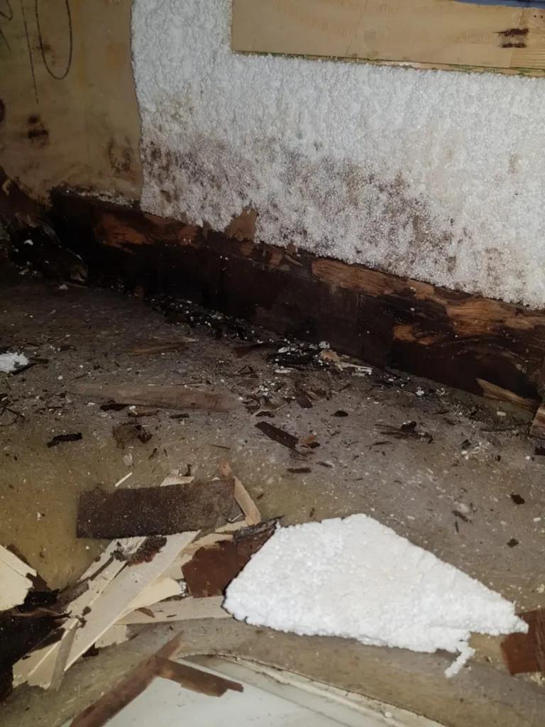 Severe damp damage and rot along motorhome wall base