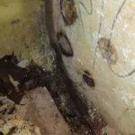 Motorhome corner stripped back to treat water ingress