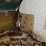 Ceiling panel removed during damp investigation inside motorhome