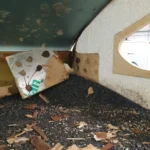 Extensive floor rot removed during motorhome damp repair